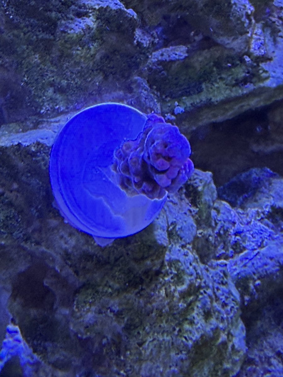 IMG_0111.jpeg