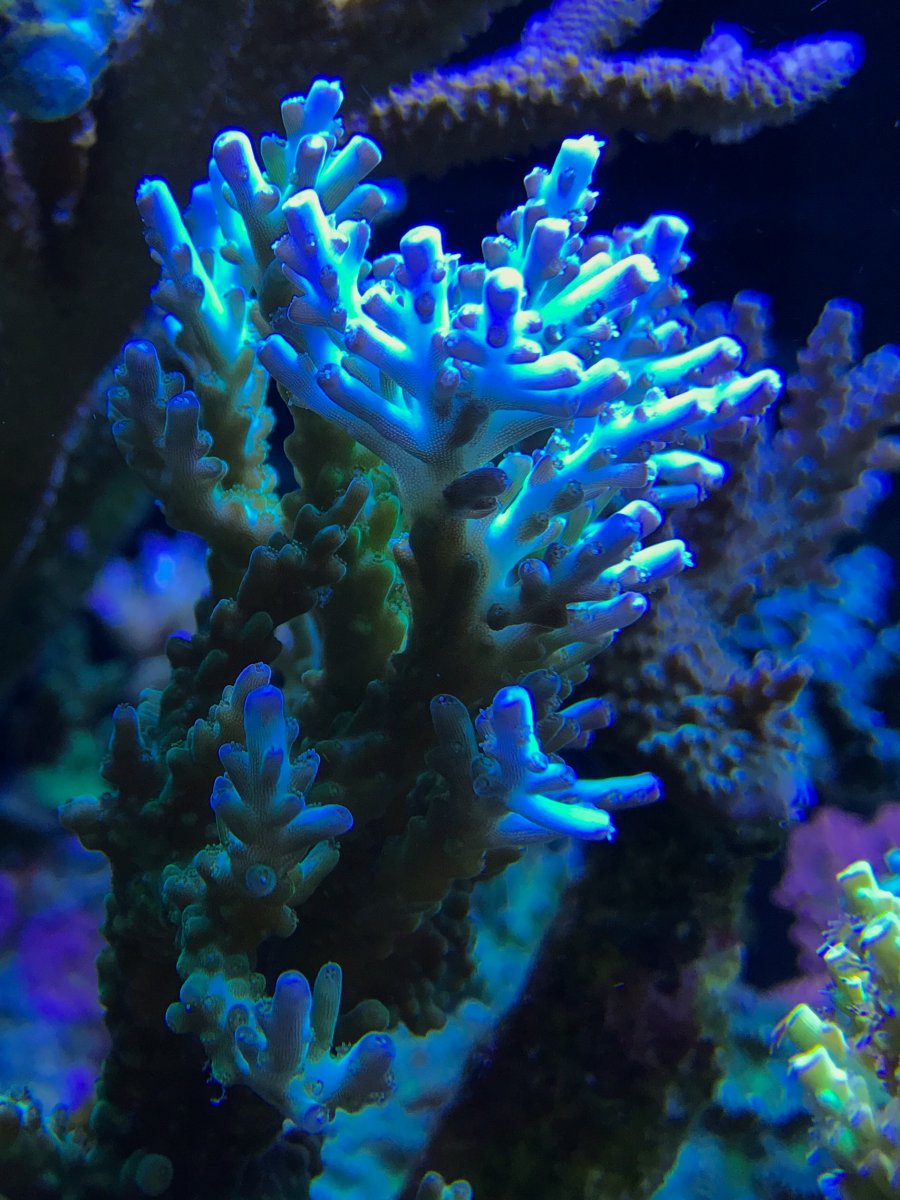 IMG_0112.jpg