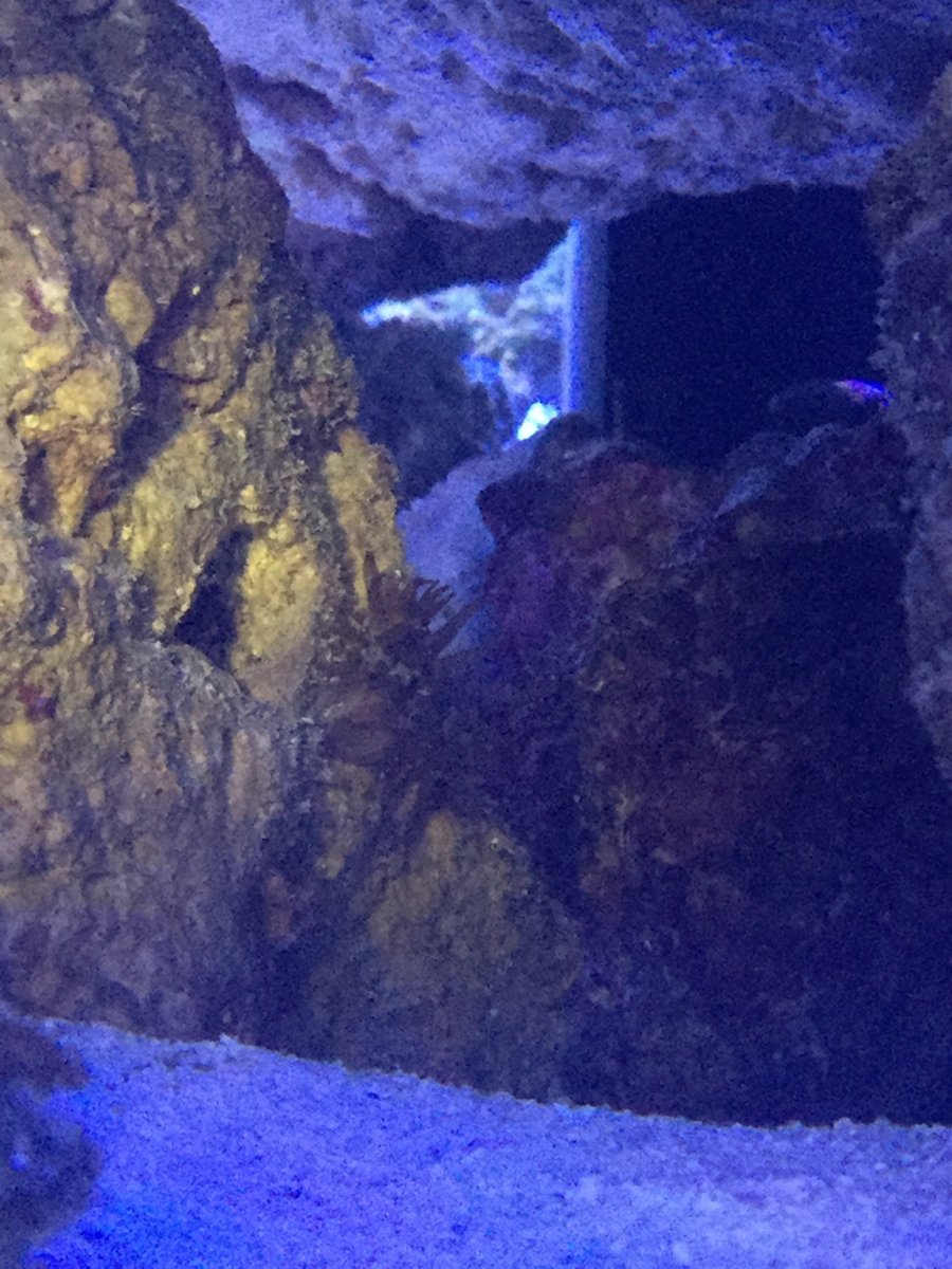 IMG_0113.JPG