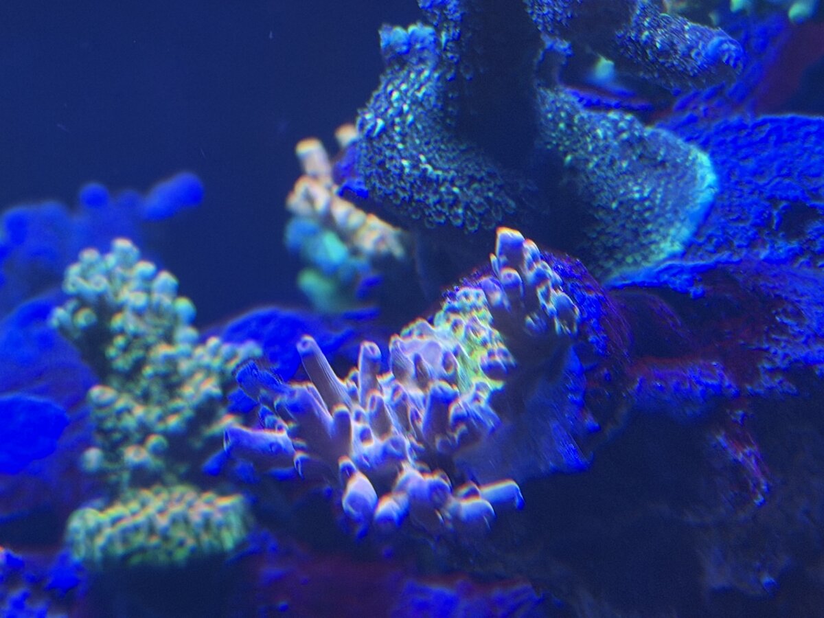 IMG_0115.jpeg