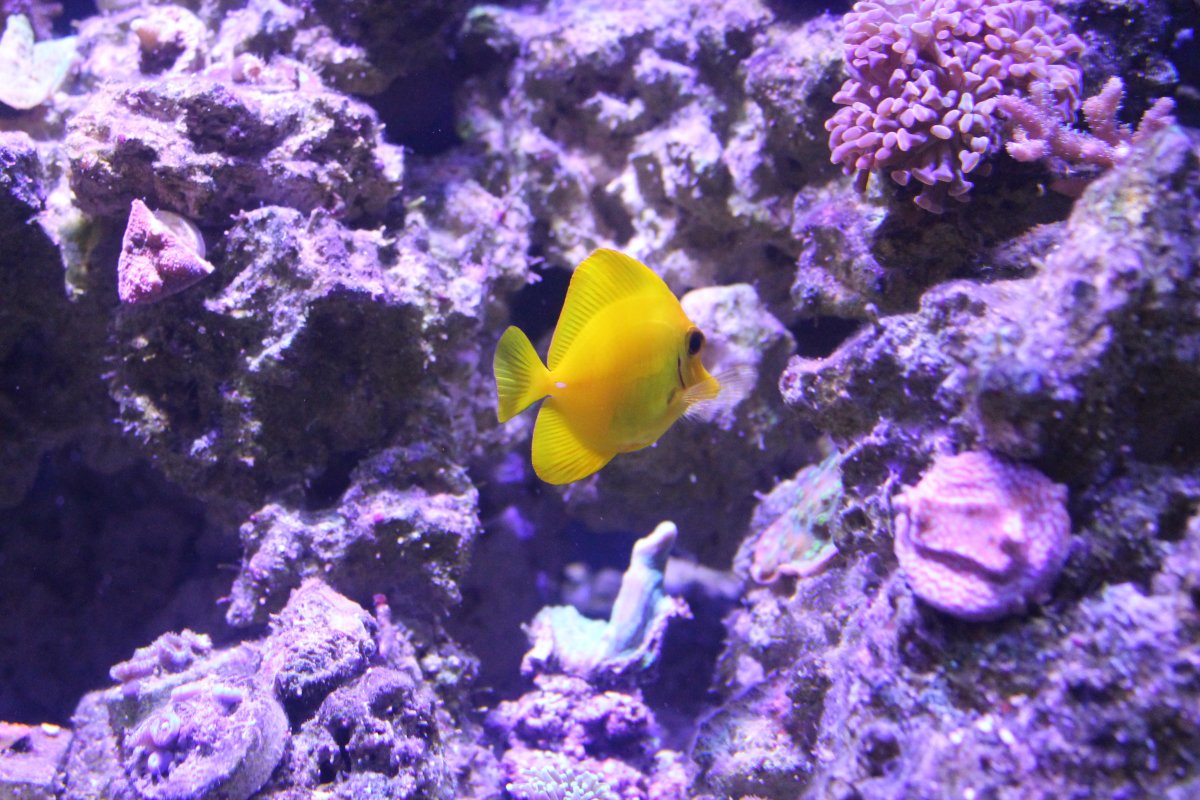 IMG_0116.JPG