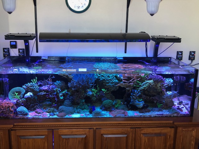 Idaho - 4 Foot Giesemann Infiniti 2x 250w Double Ended 4x54w Metal ...