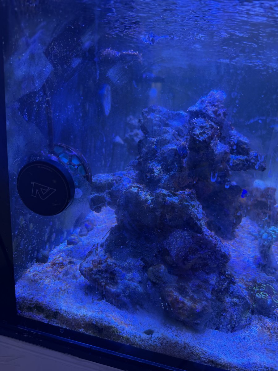 IMG_0126.jpeg