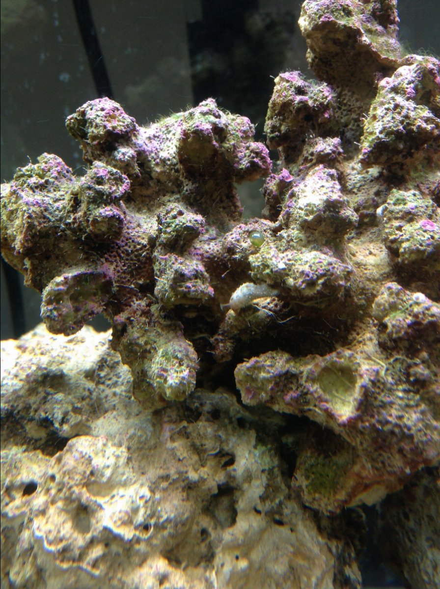 IMG_0129.JPG