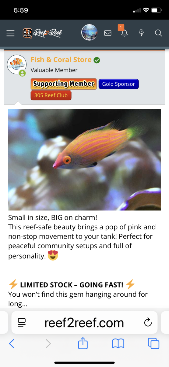 IMG_0141.png