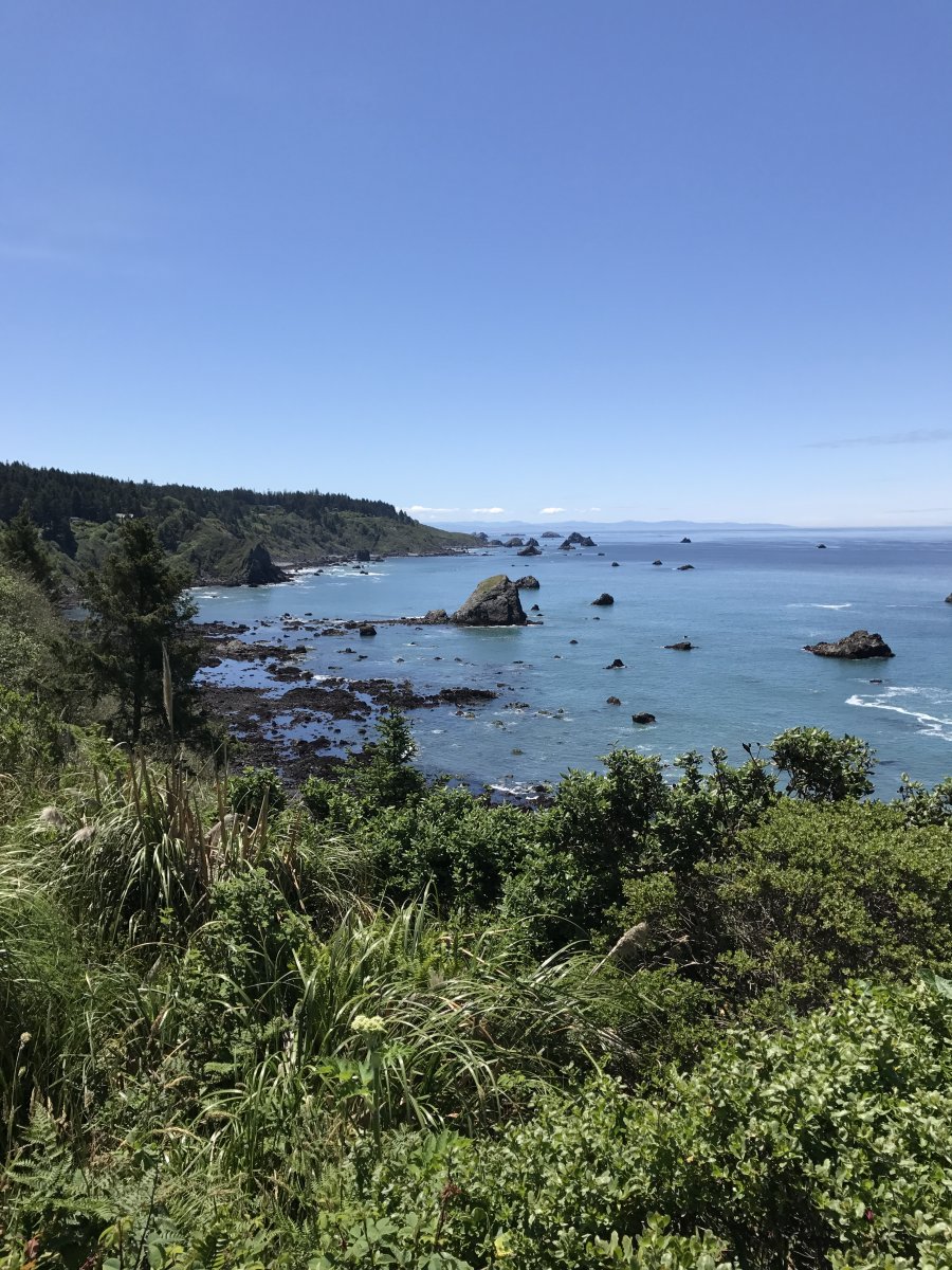 IMG_0147.jpeg