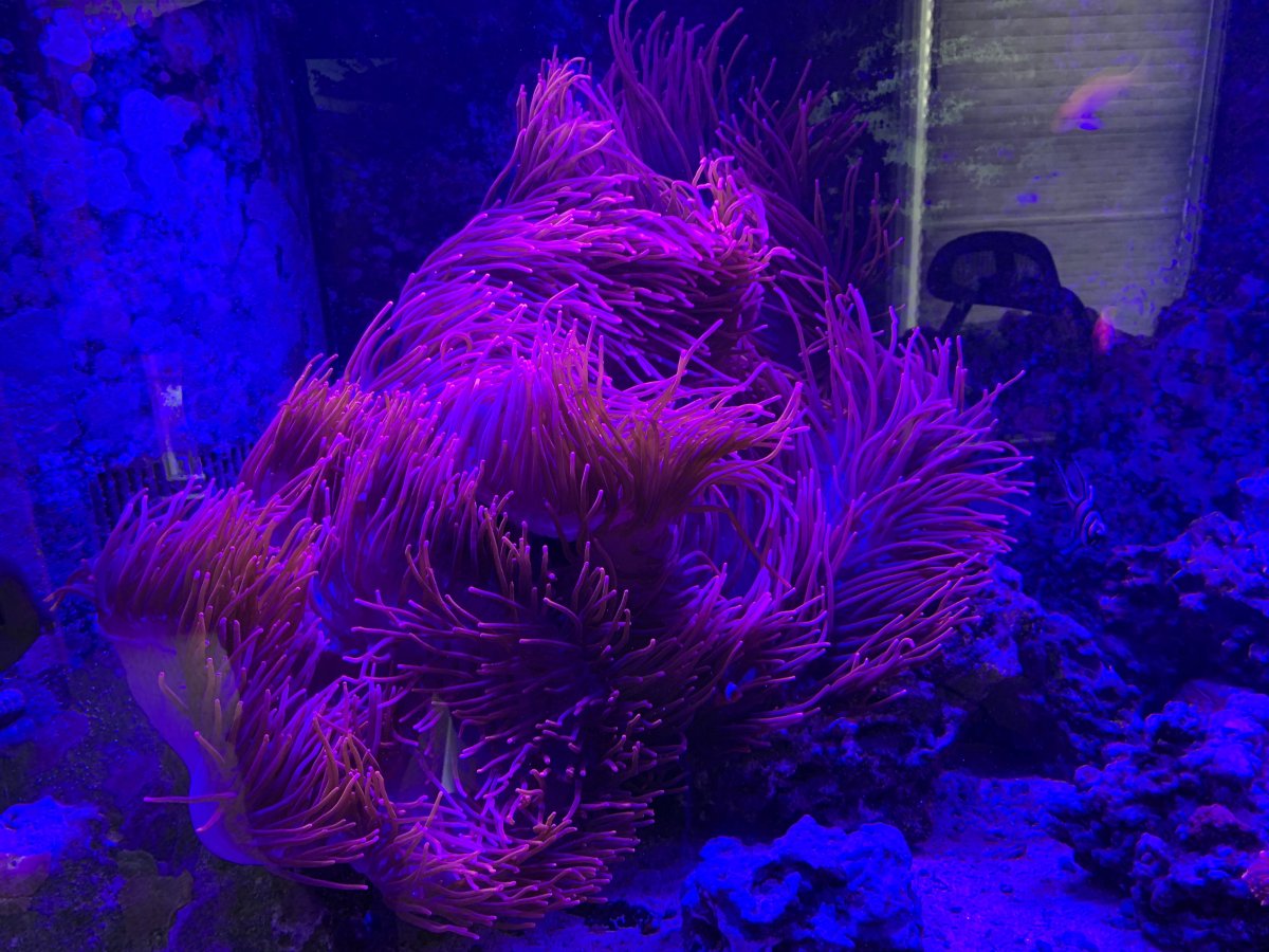 IMG_0147.jpeg