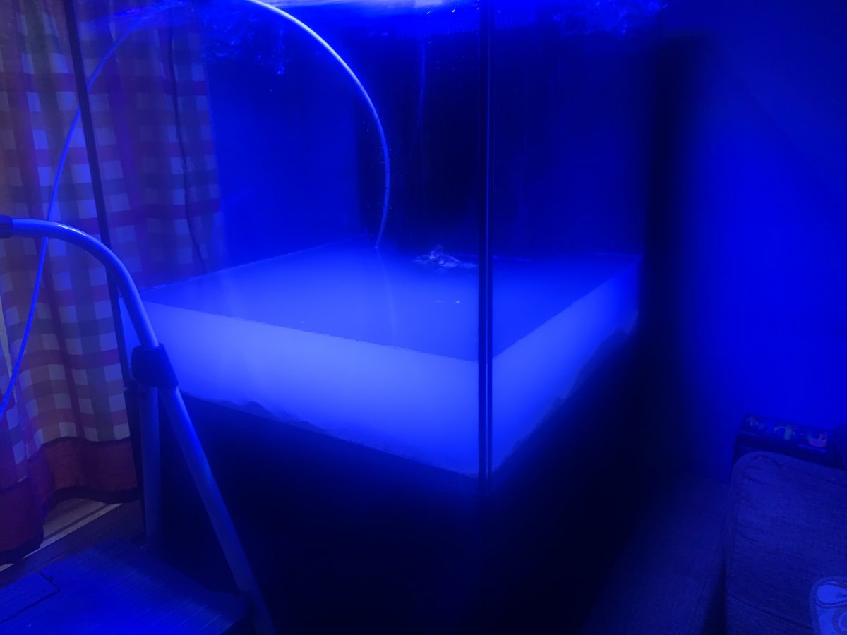 IMG_0155.jpeg