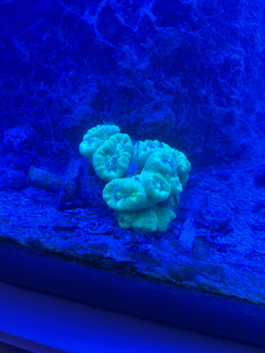 IMG_0165.jpeg