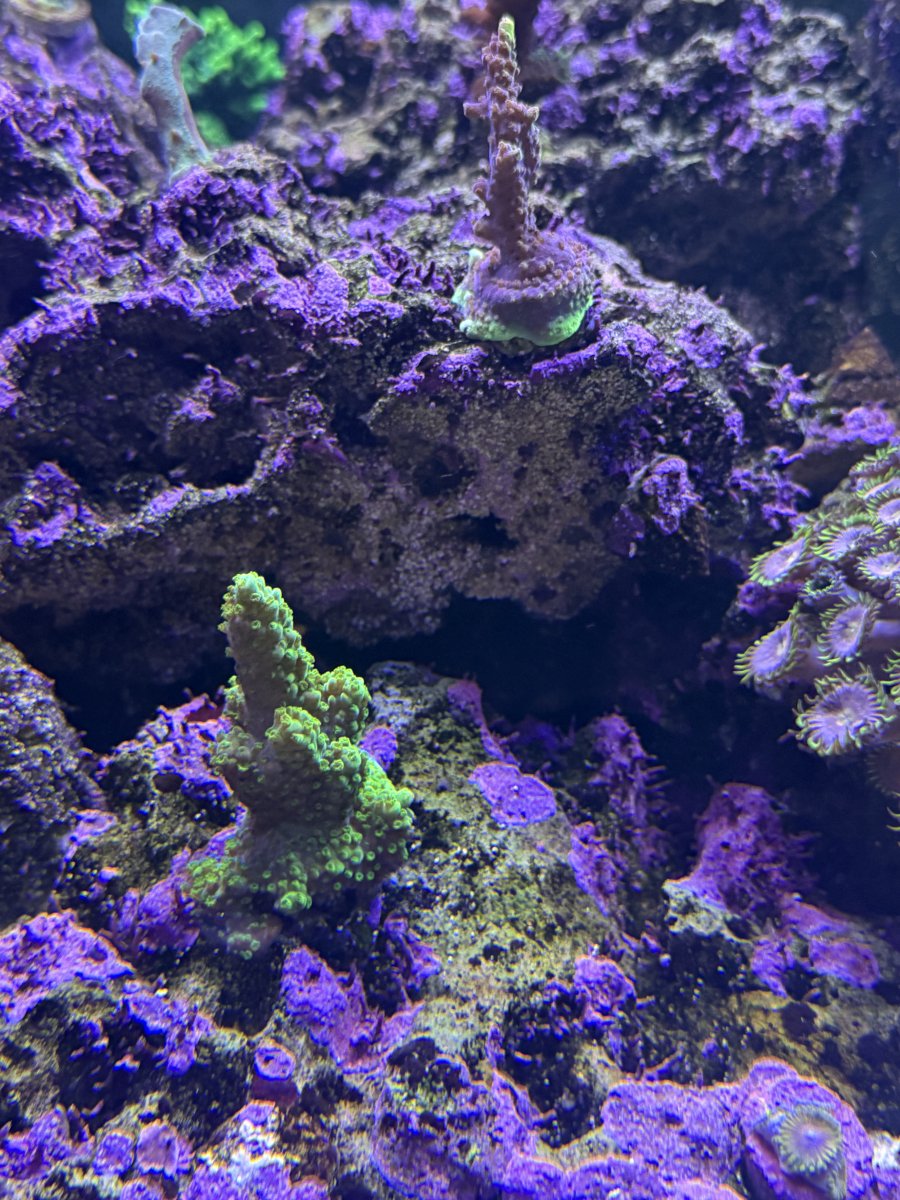 IMG_0166.jpeg
