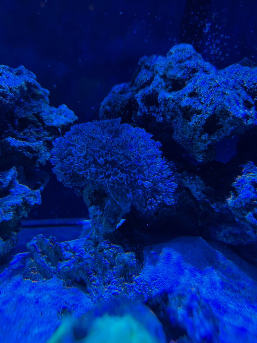 IMG_0170.jpeg