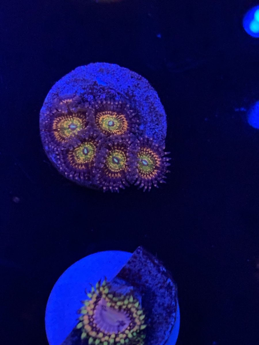 IMG_0182.jpeg