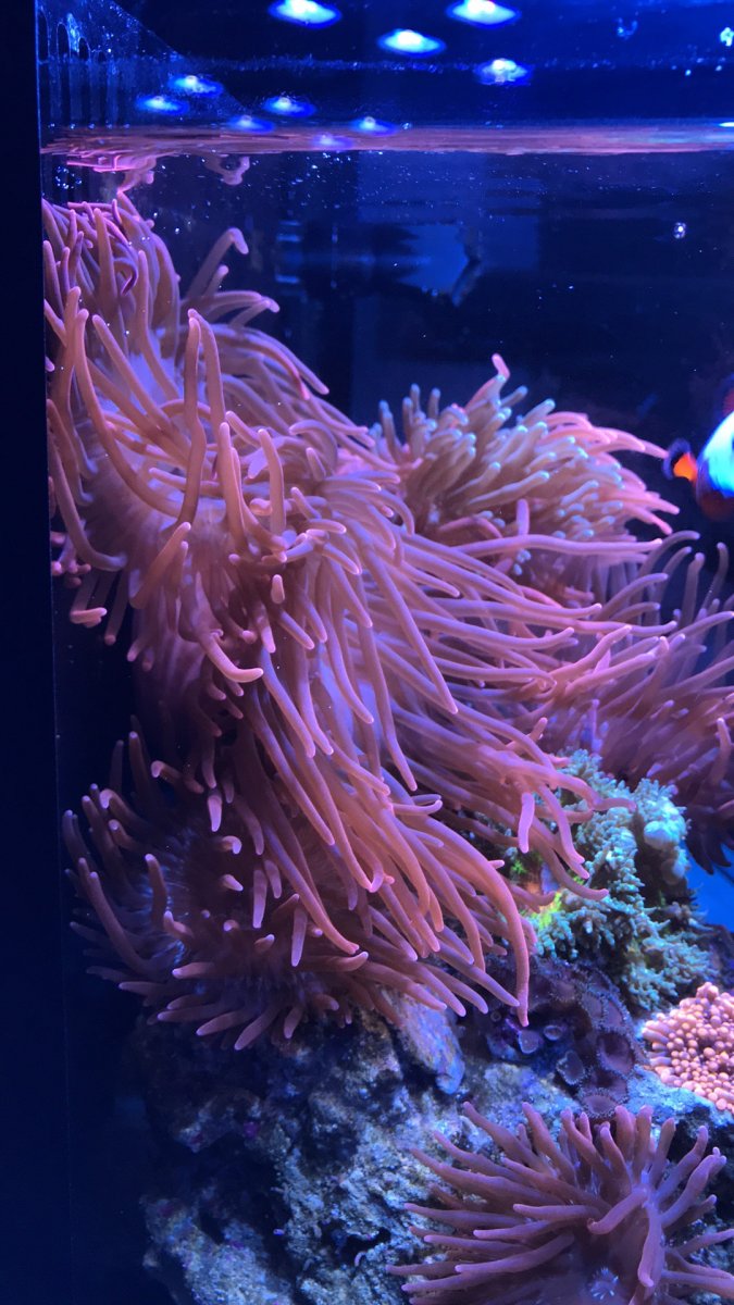 IMG_0182.jpg