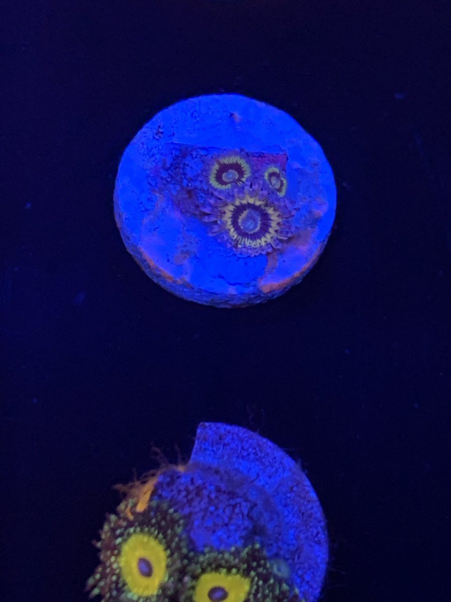 IMG_0183.jpeg
