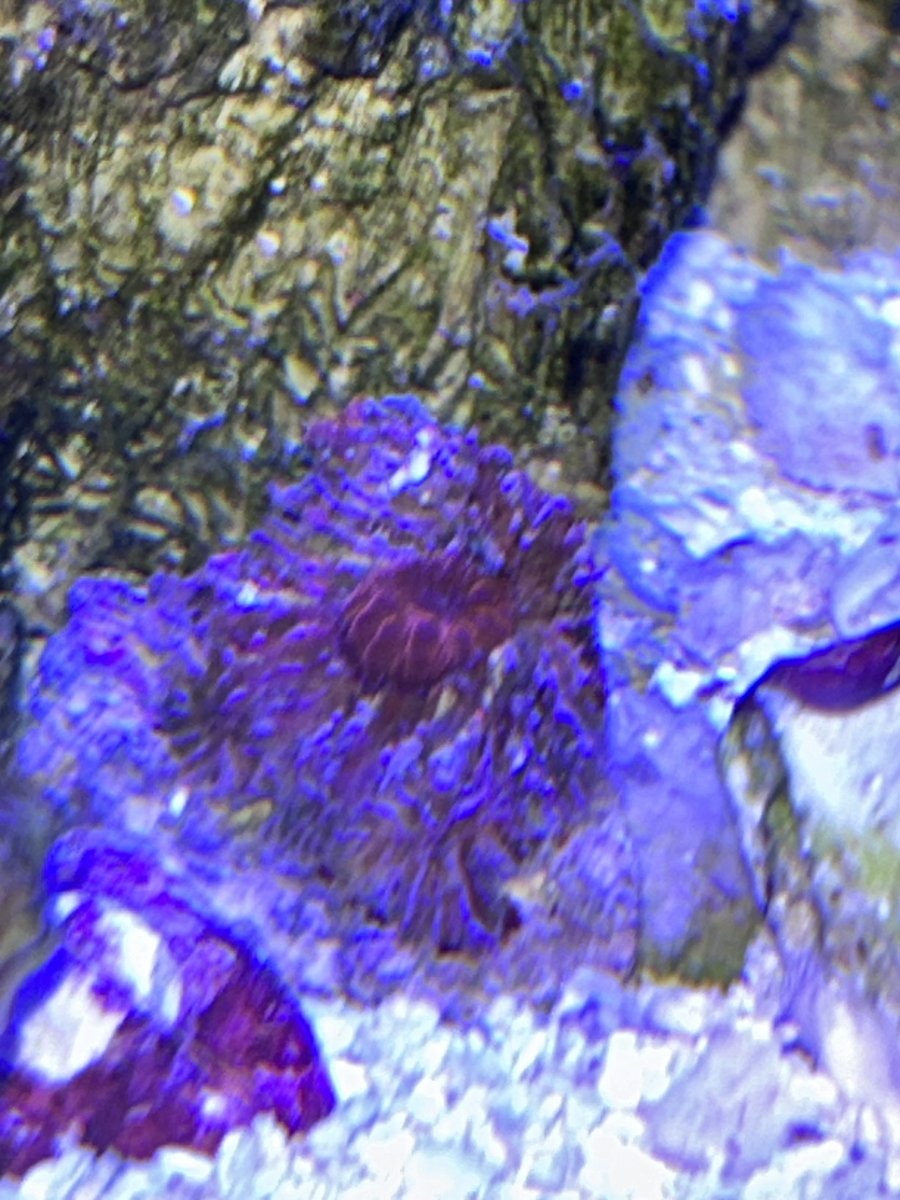 IMG_0186.jpeg