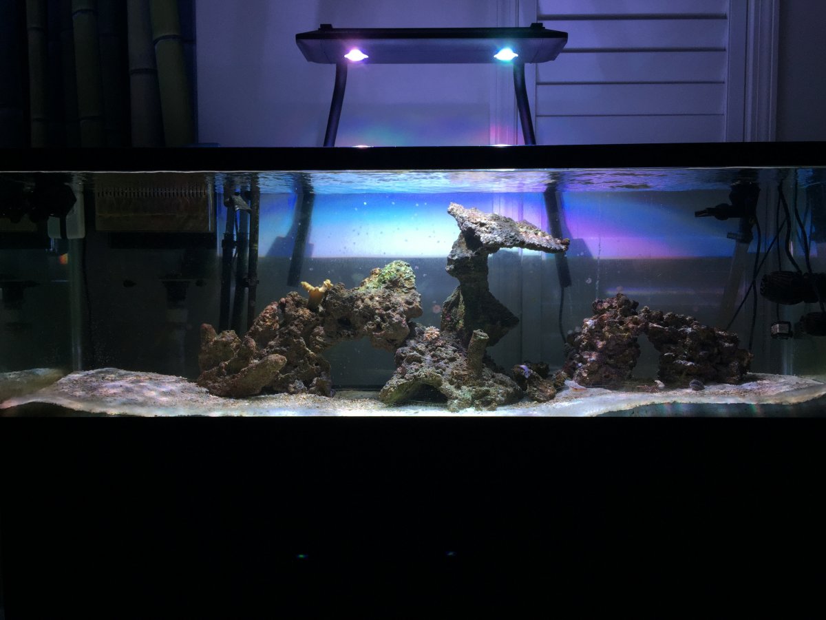 Second hand fish tanks clearance