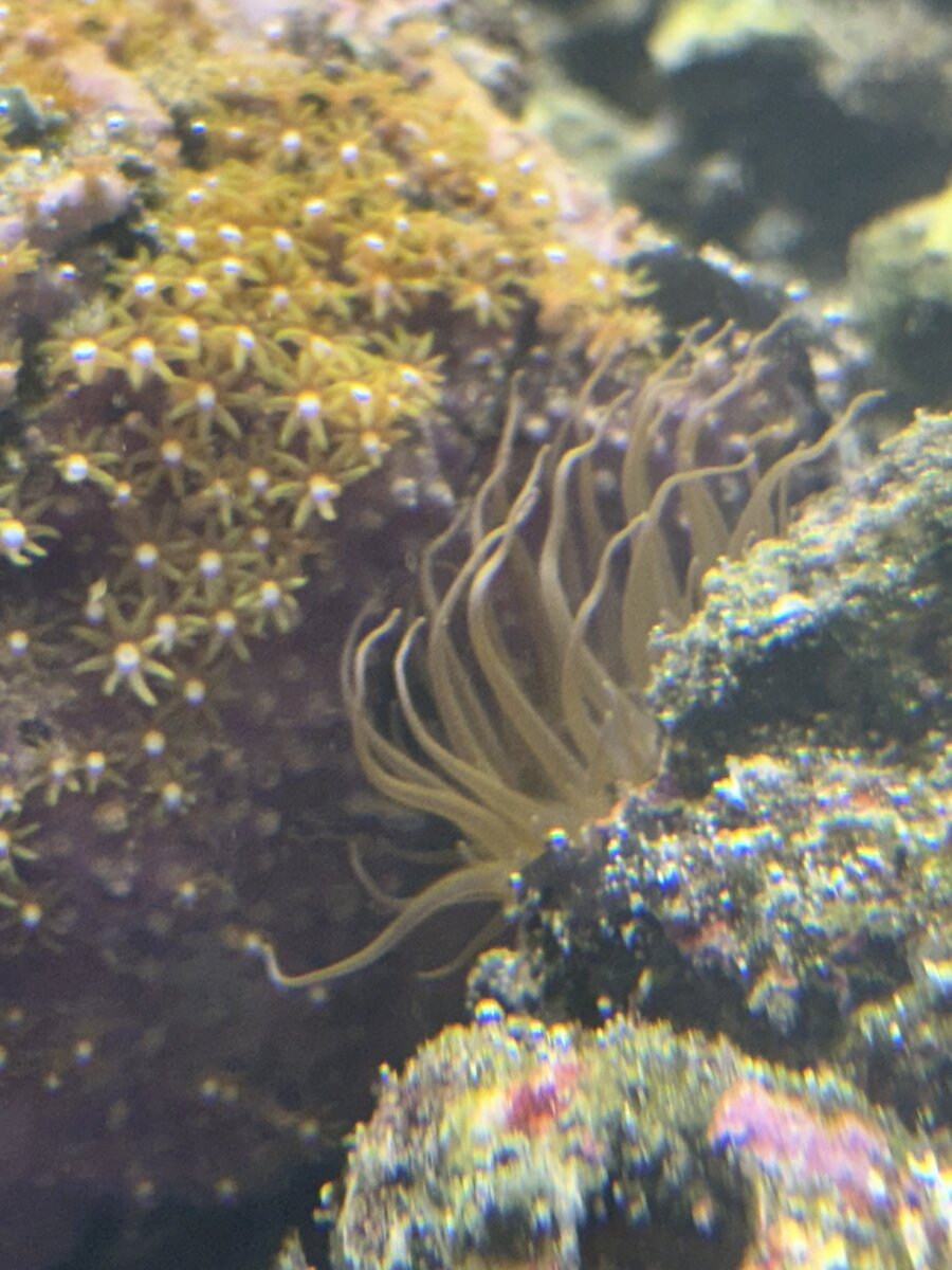 IMG_0192.jpeg