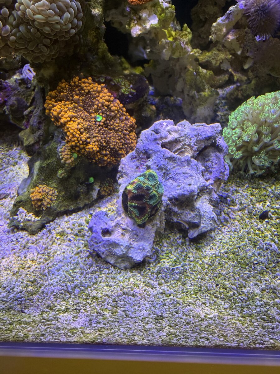IMG_0194.jpeg