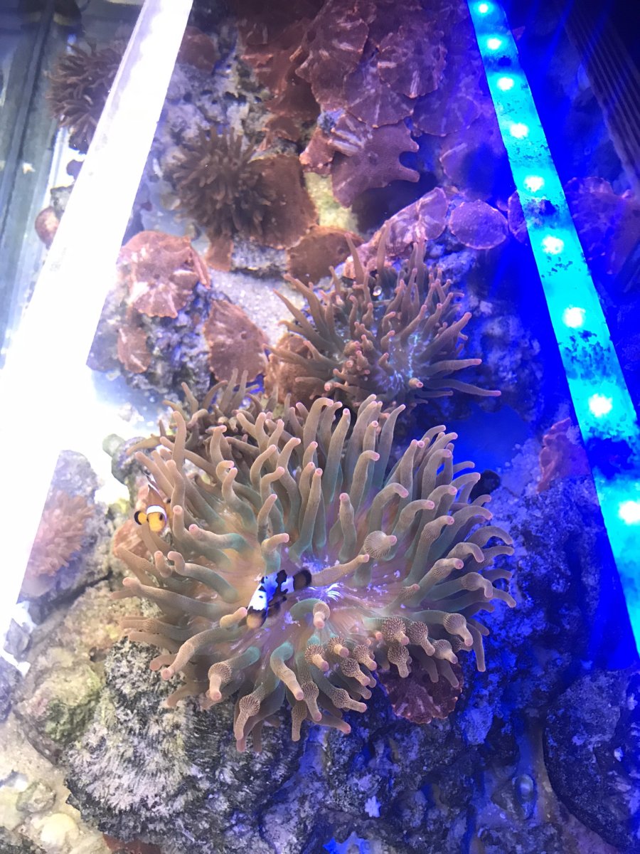 IMG_0202.jpeg