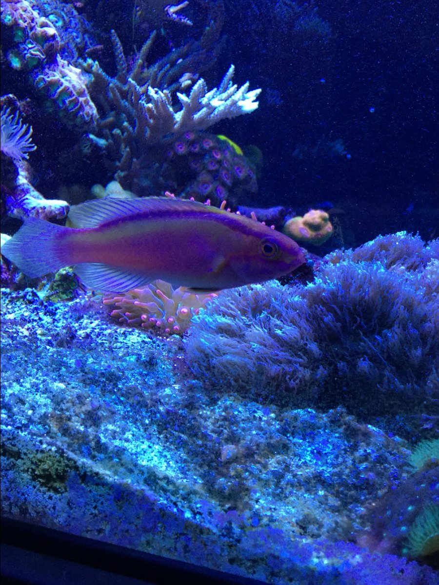 IMG_0205.JPG