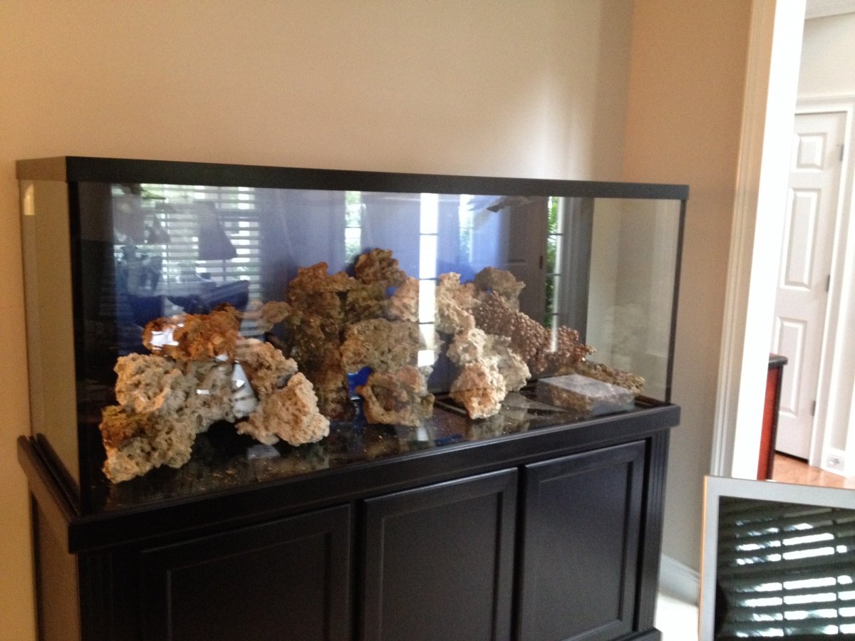 Build Thread Iron Mike s 220 Gallon Mixed Reef re Build