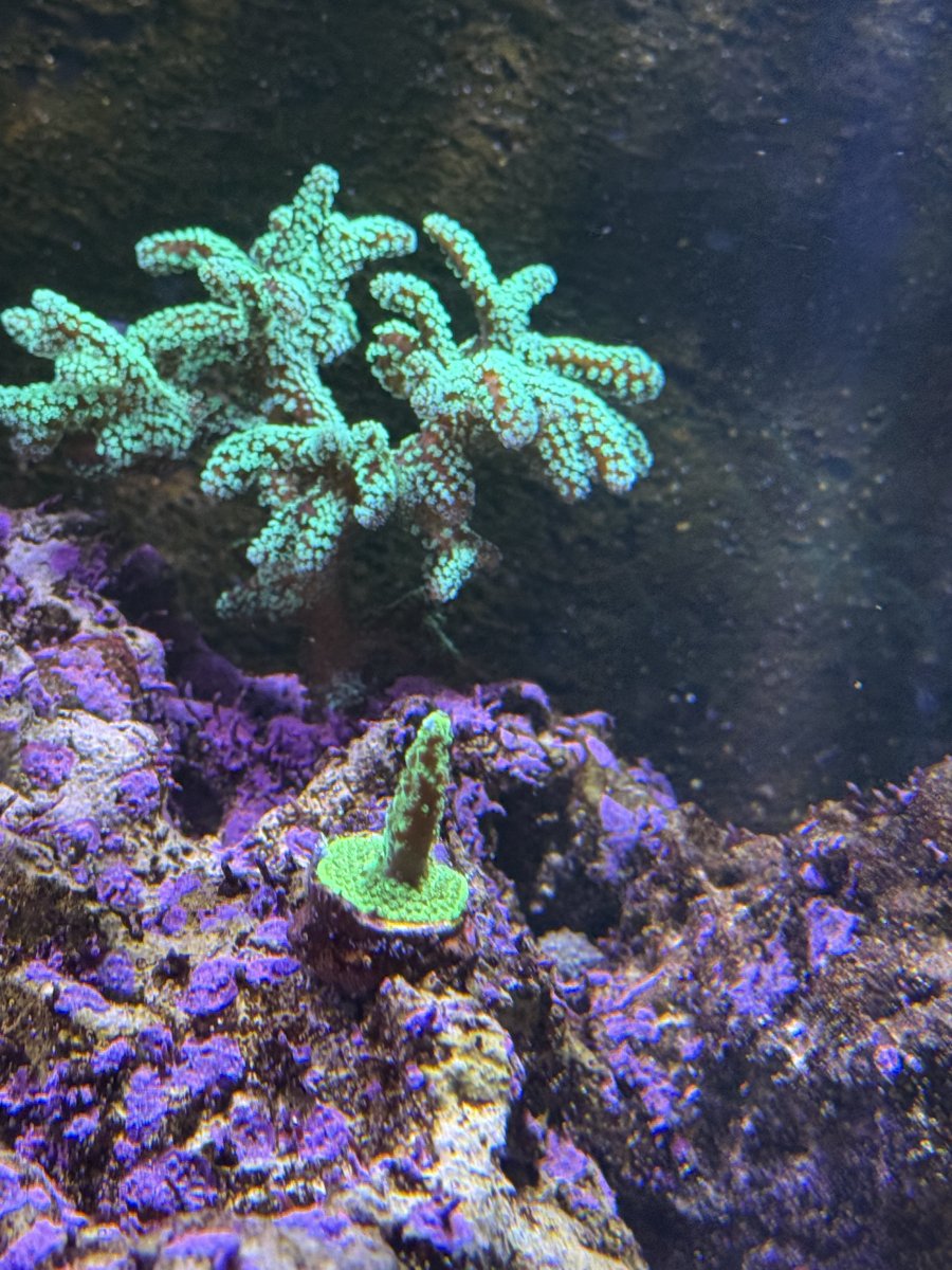 IMG_0234.jpeg