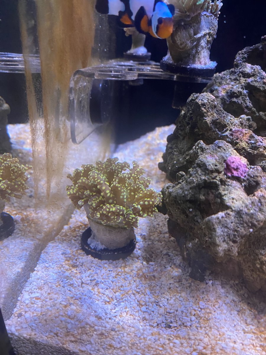 IMG_0238.jpeg