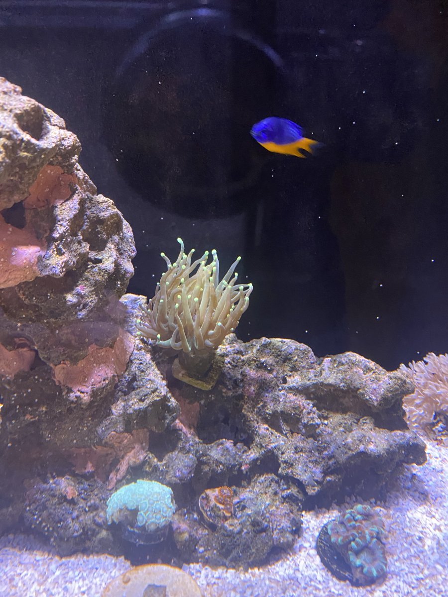 IMG_0243.jpeg