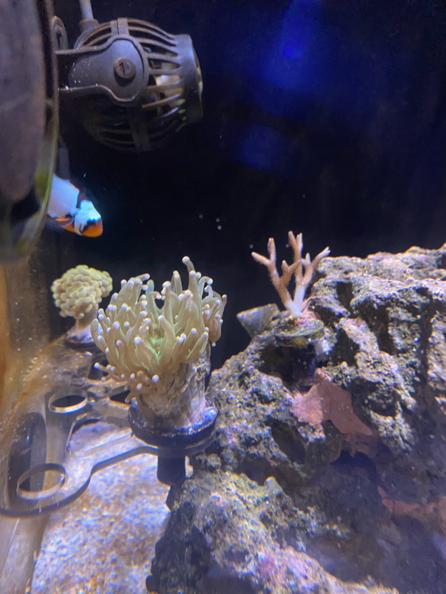 IMG_0244.jpeg