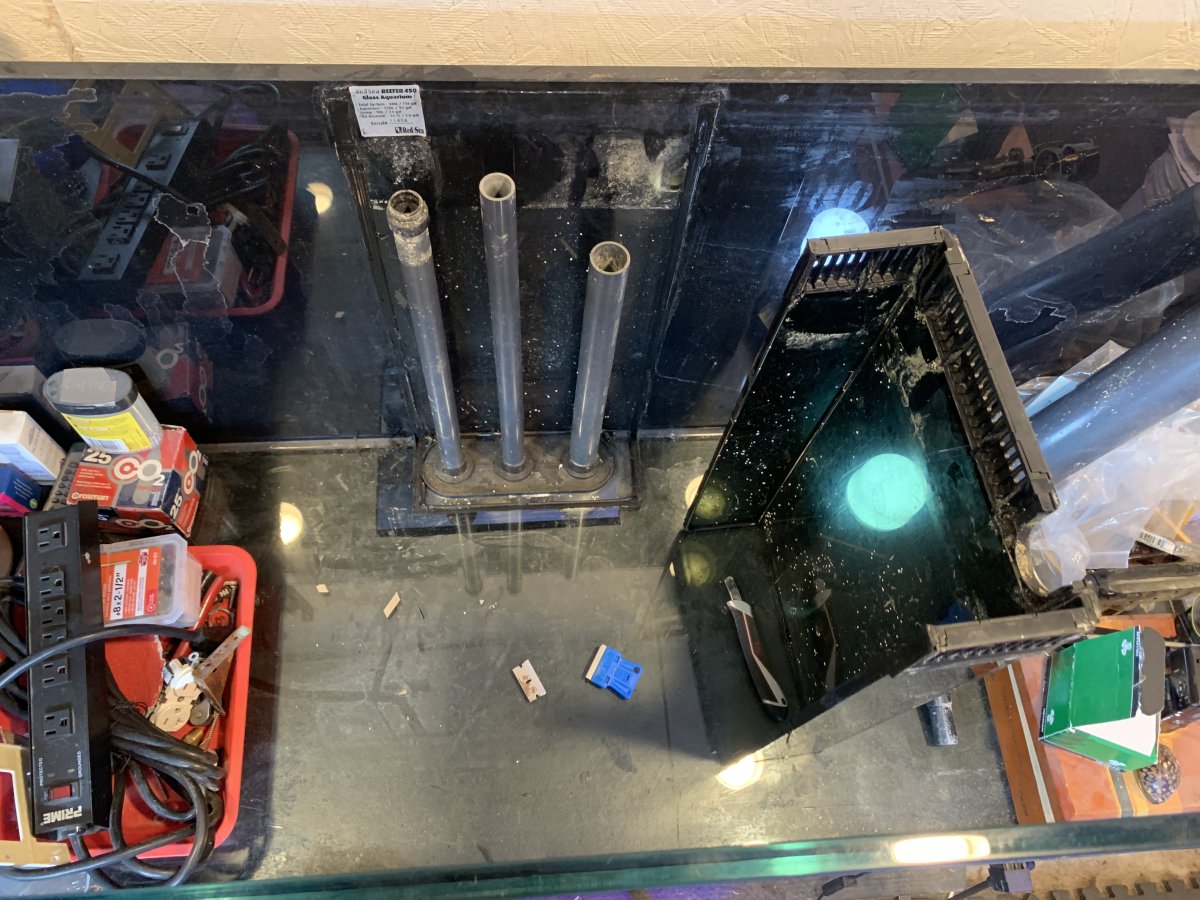 IMG_0245.jpeg