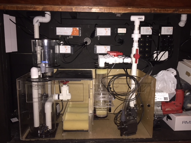 Indiana - 125 Gallon Drilled Reef Tank, Life Reef Sump & Battery Backup ...