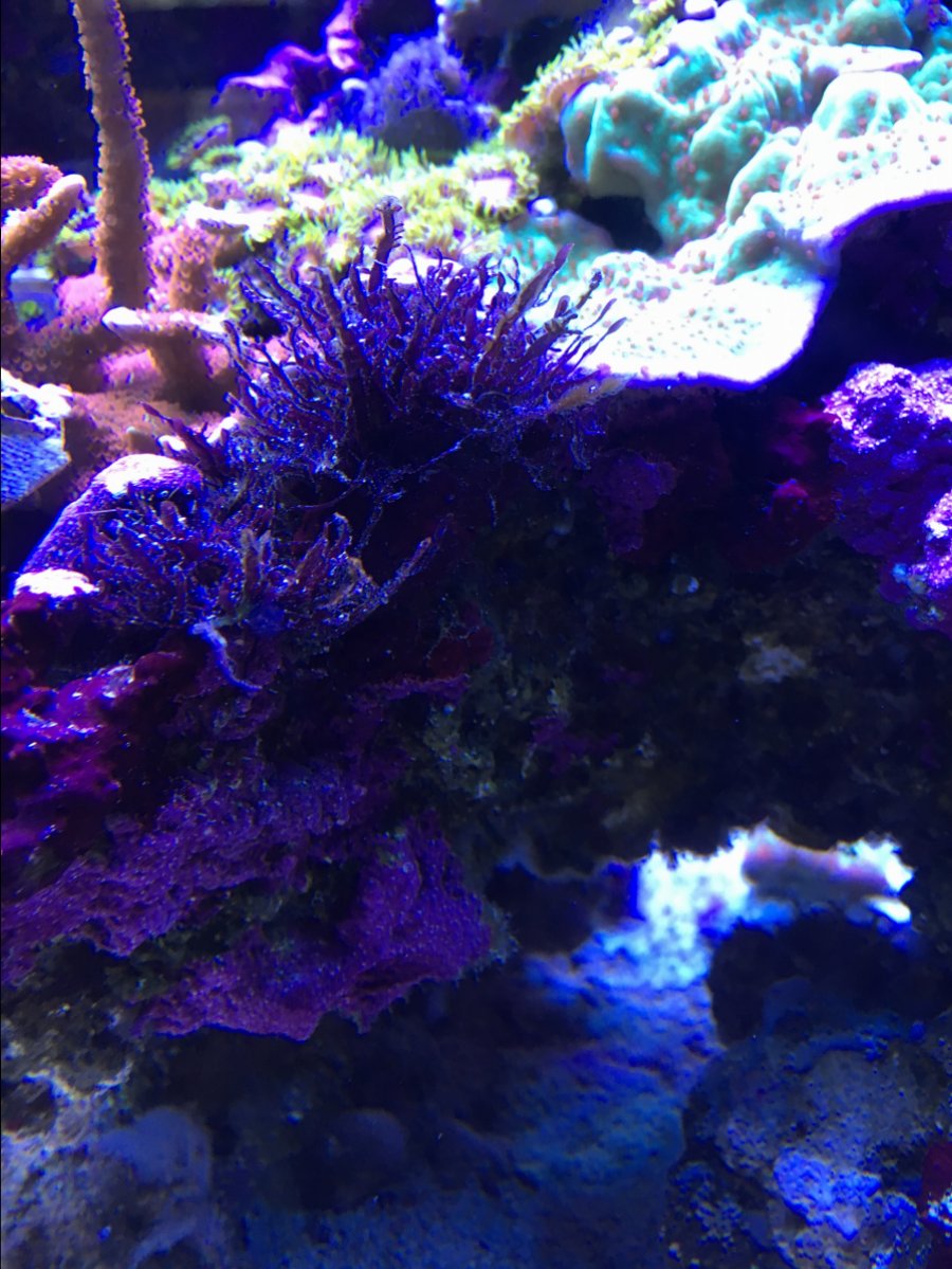 IMG_0266.JPG