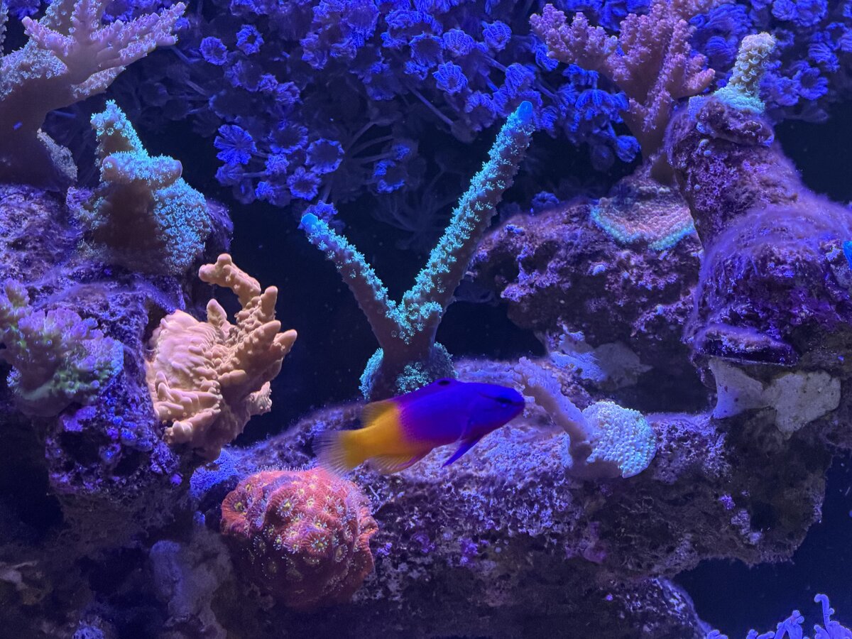 IMG_0270.jpeg