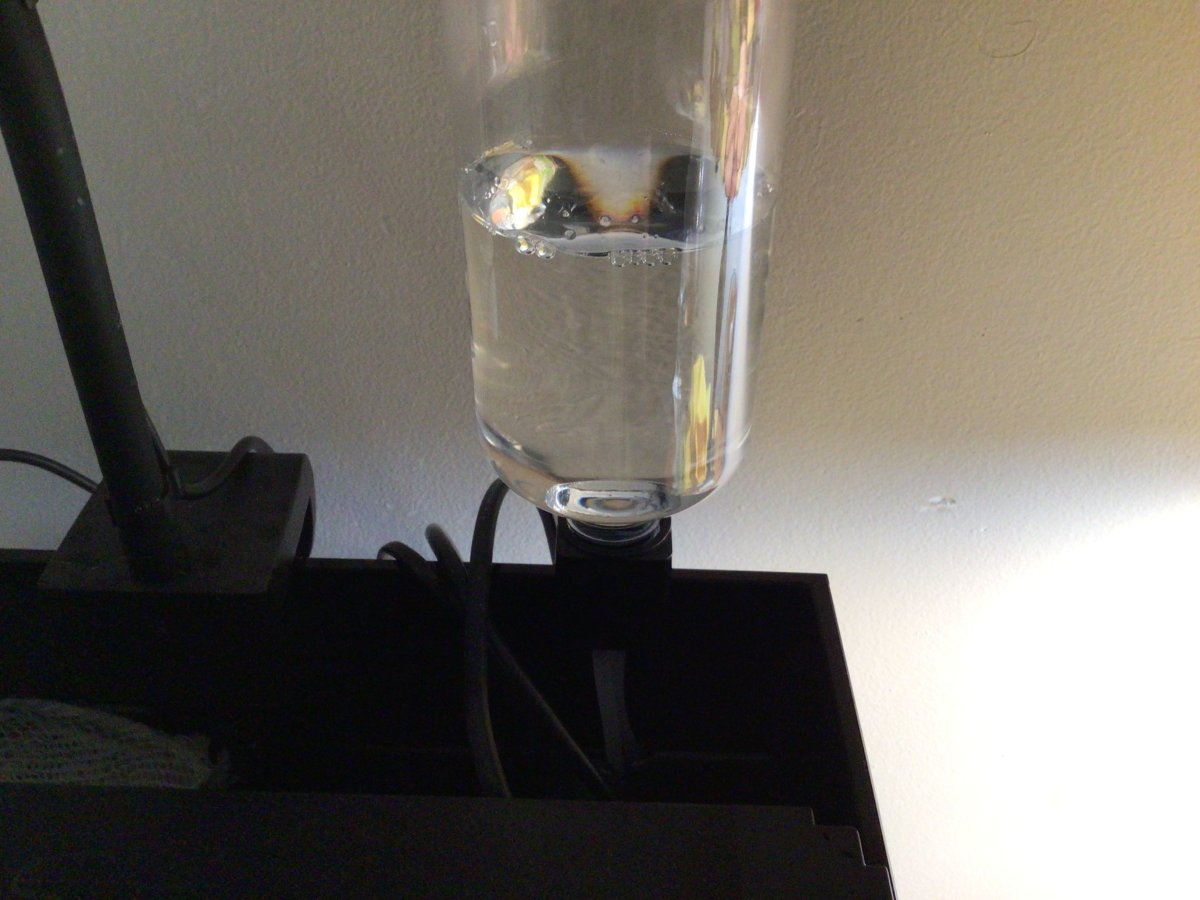 IMG_0271.jpeg