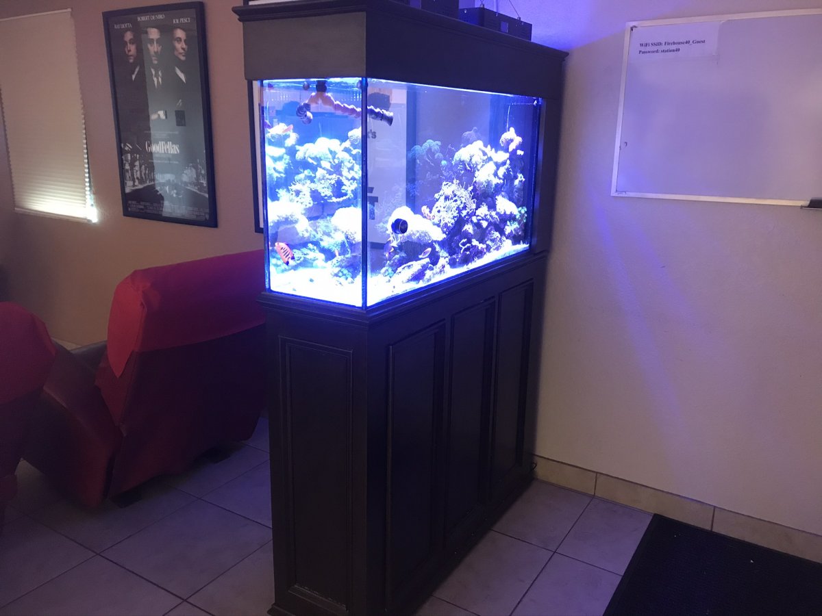 IMG_0280.jpeg
