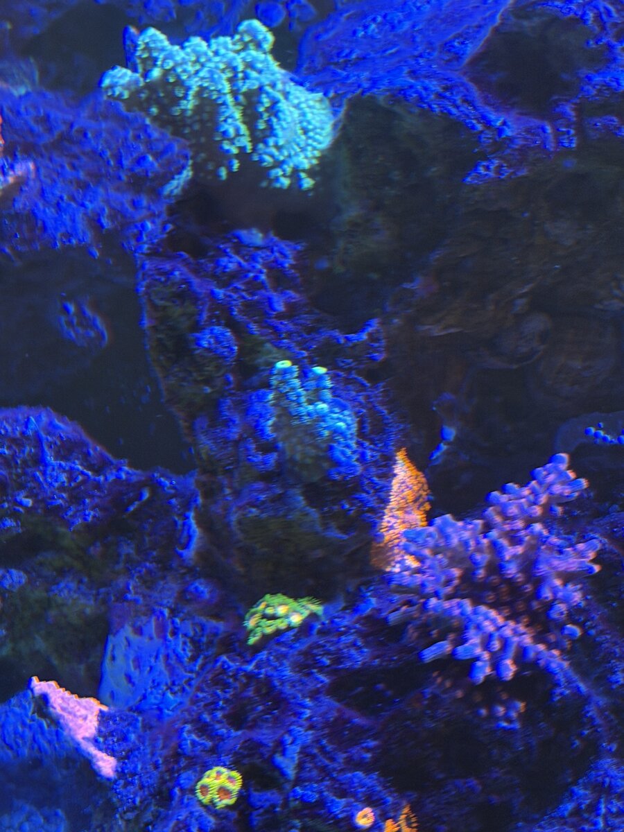 IMG_0280.jpeg