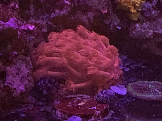 IMG_0281.jpeg