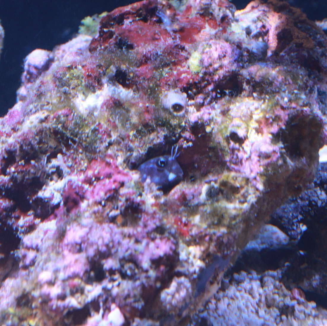 IMG_0287.jpeg