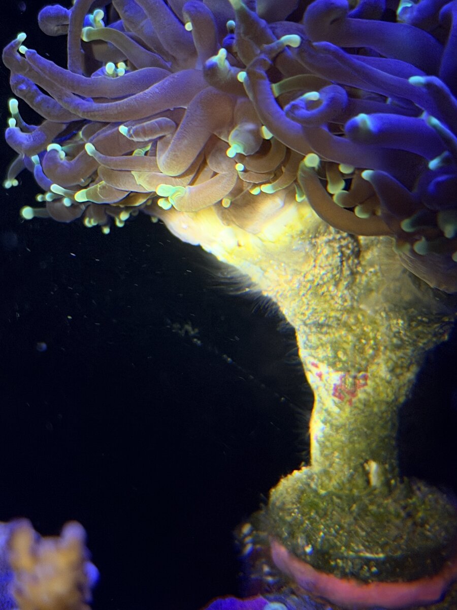 IMG_0288.jpeg