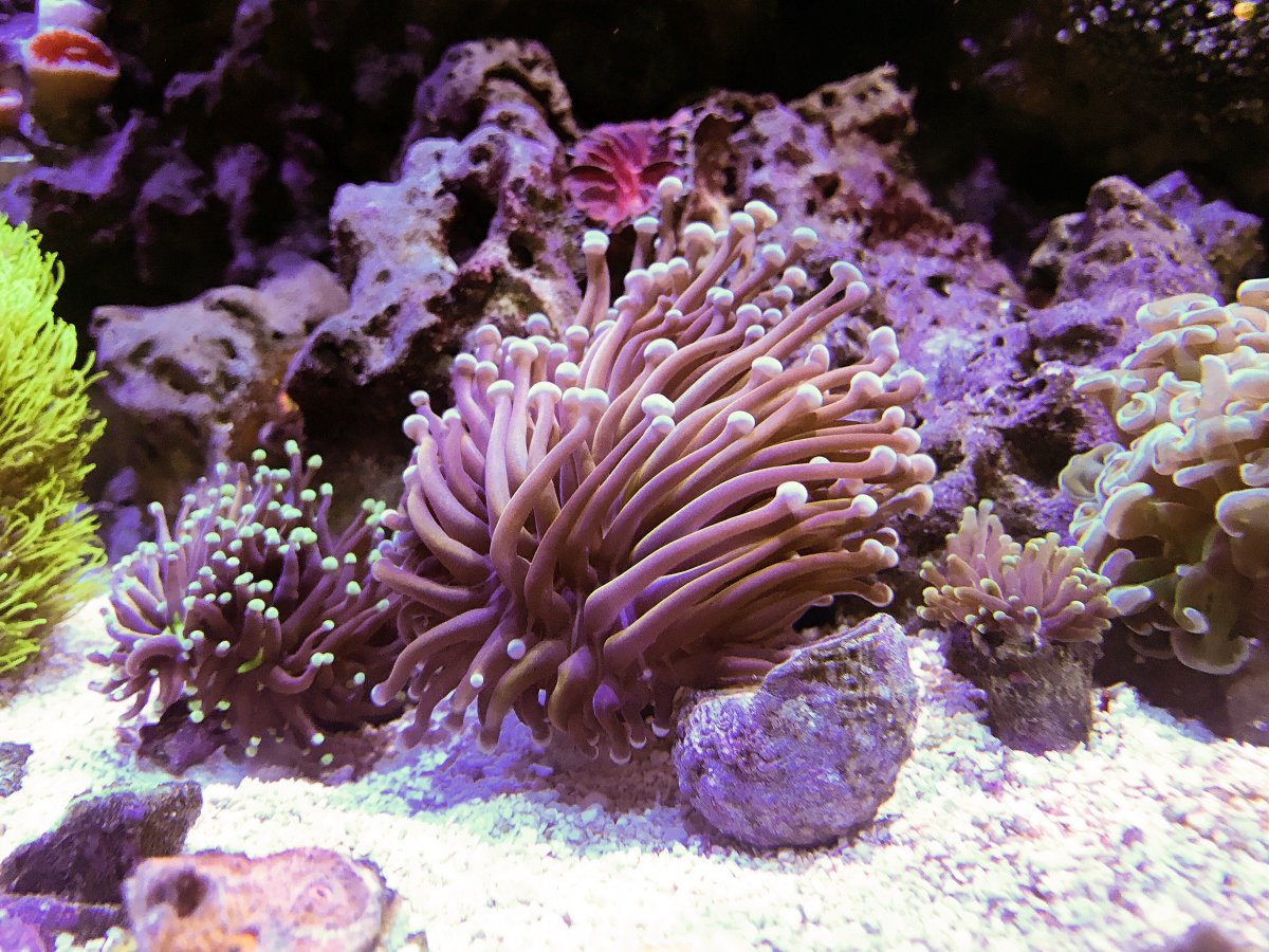 IMG_0300.JPG