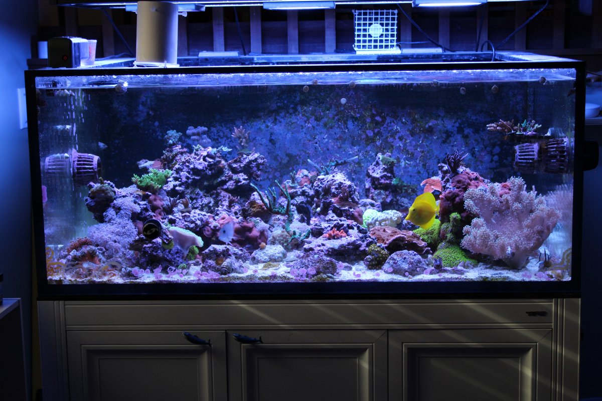 IMG_0307.jpeg