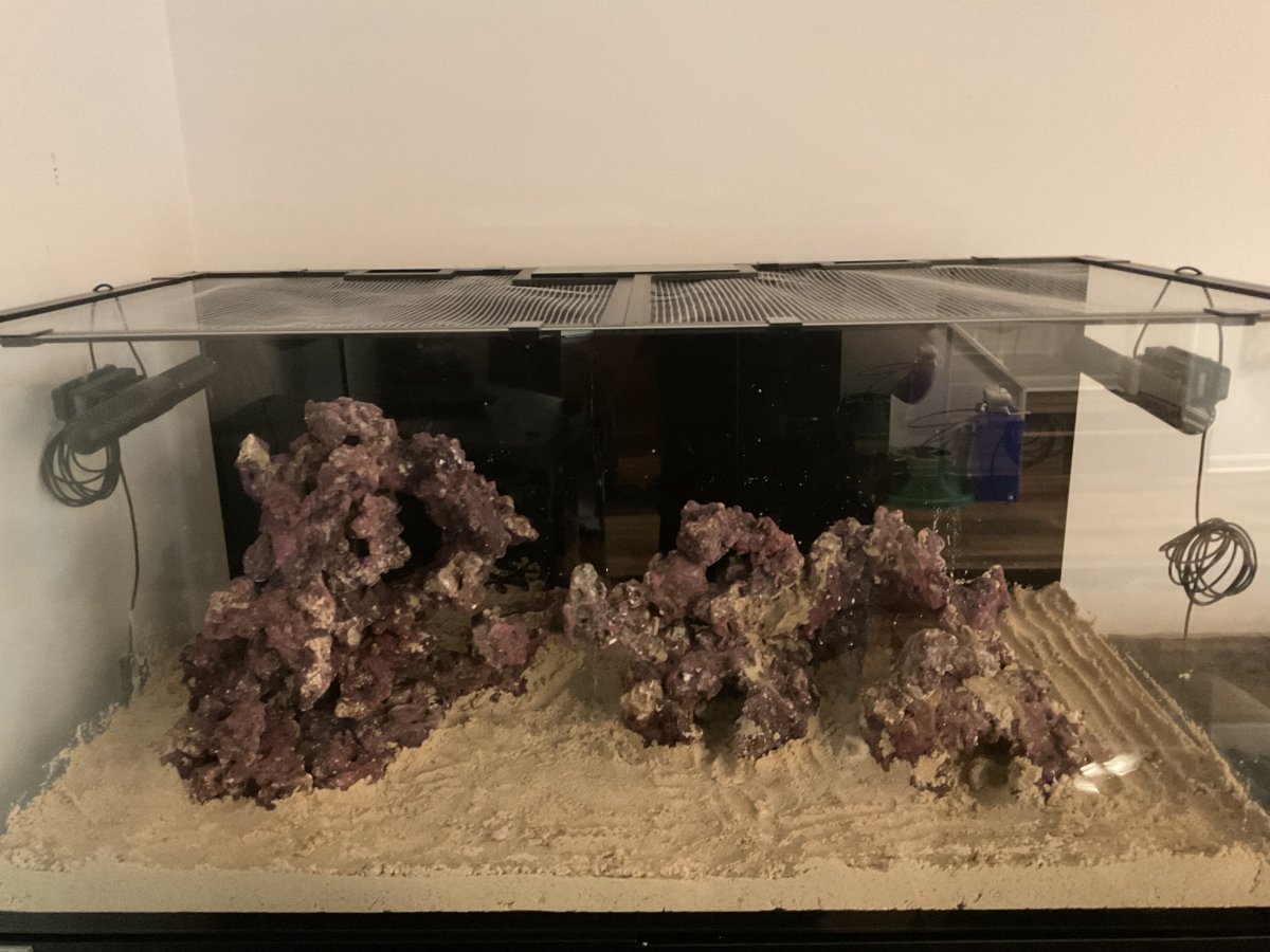 Build Thread - Waterbox Infinia 150.4 and Mixing Station Build | Reef2Reef