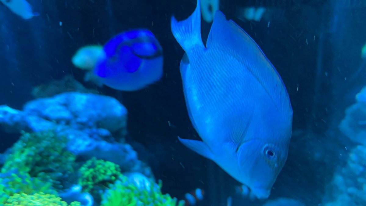 IMG_0315.jpeg