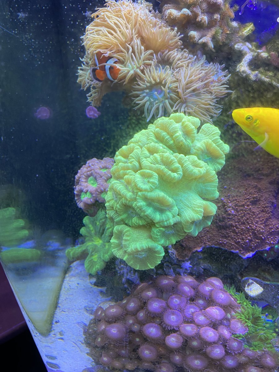 IMG_0331.jpeg