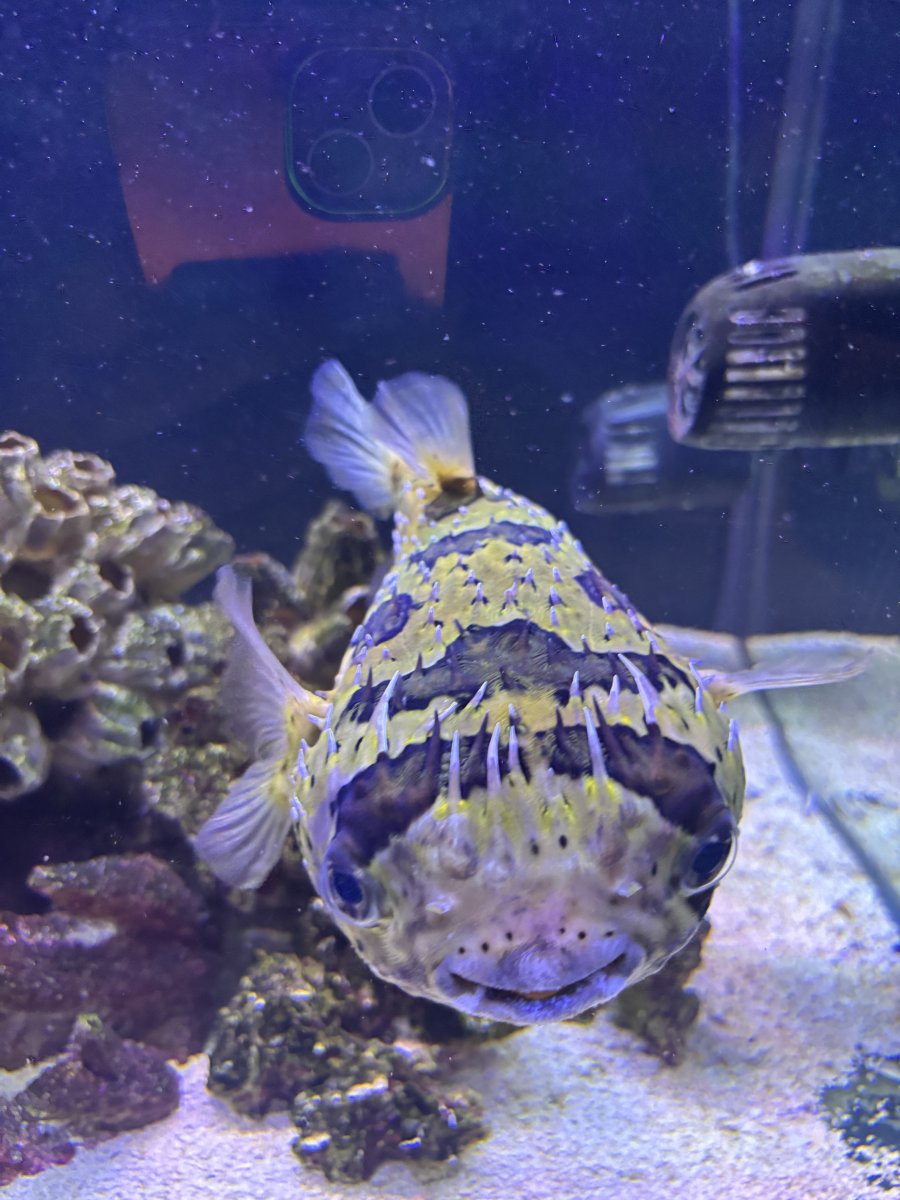 IMG_0336.jpeg
