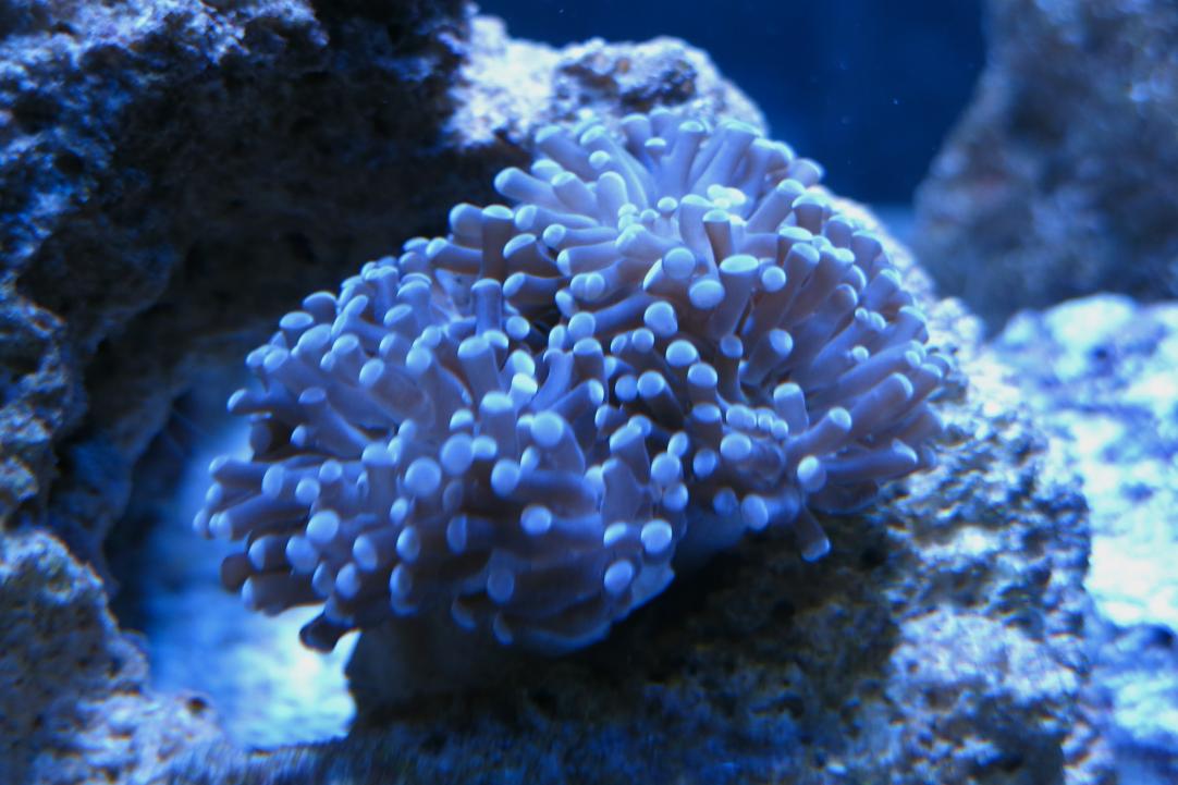 IMG_0339.jpg