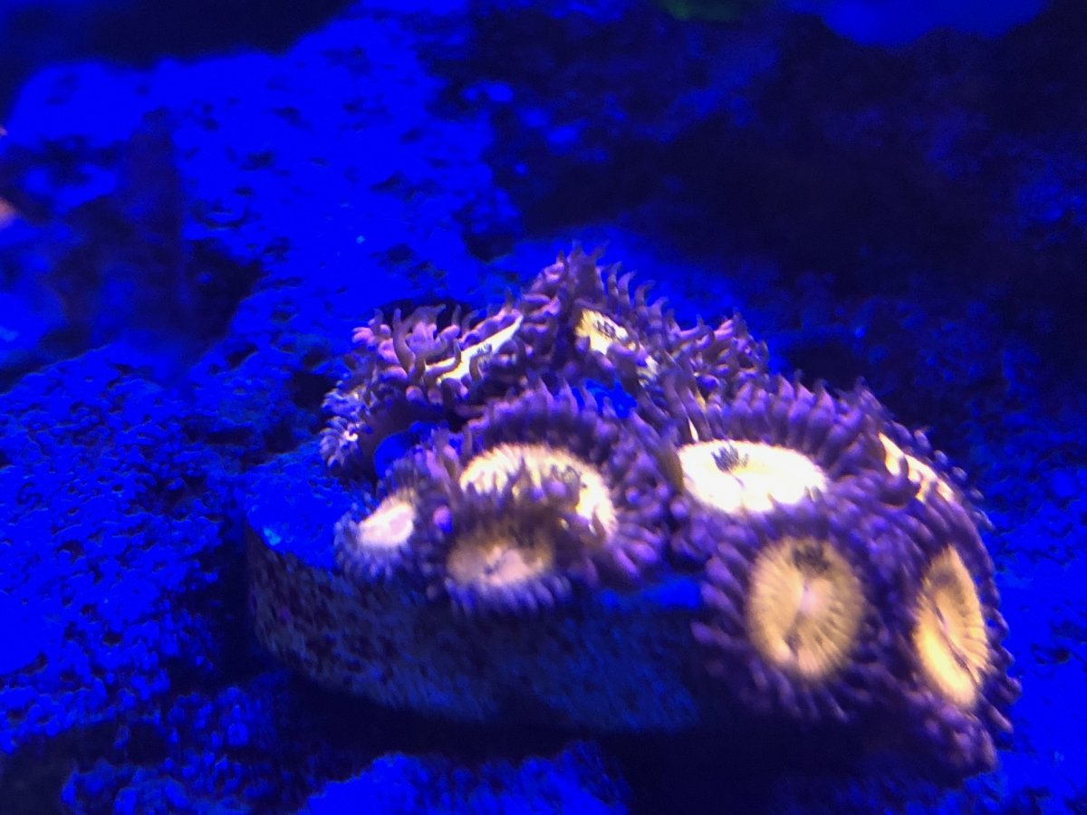 IMG_0347.JPEG