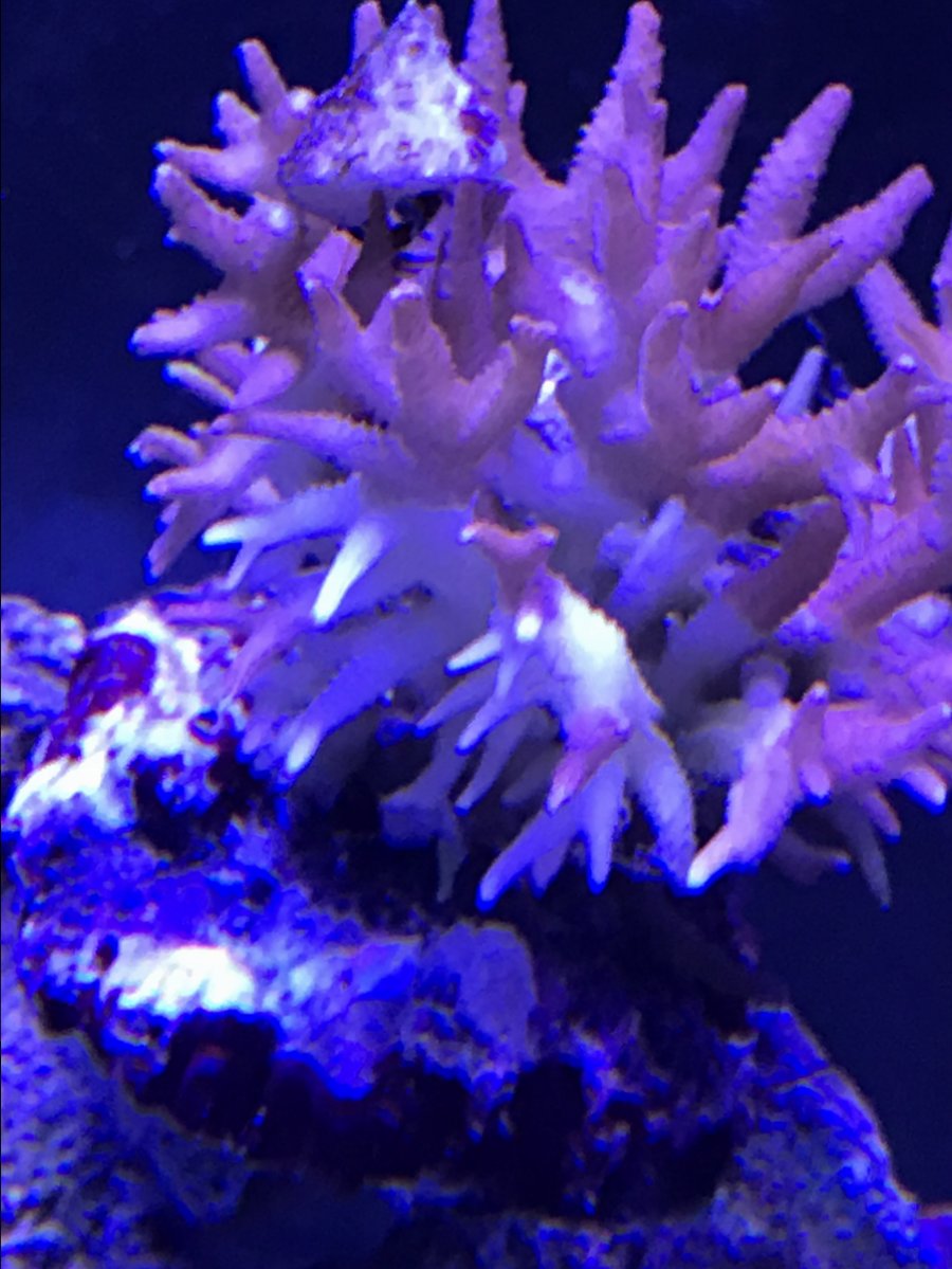 IMG_0348.JPG