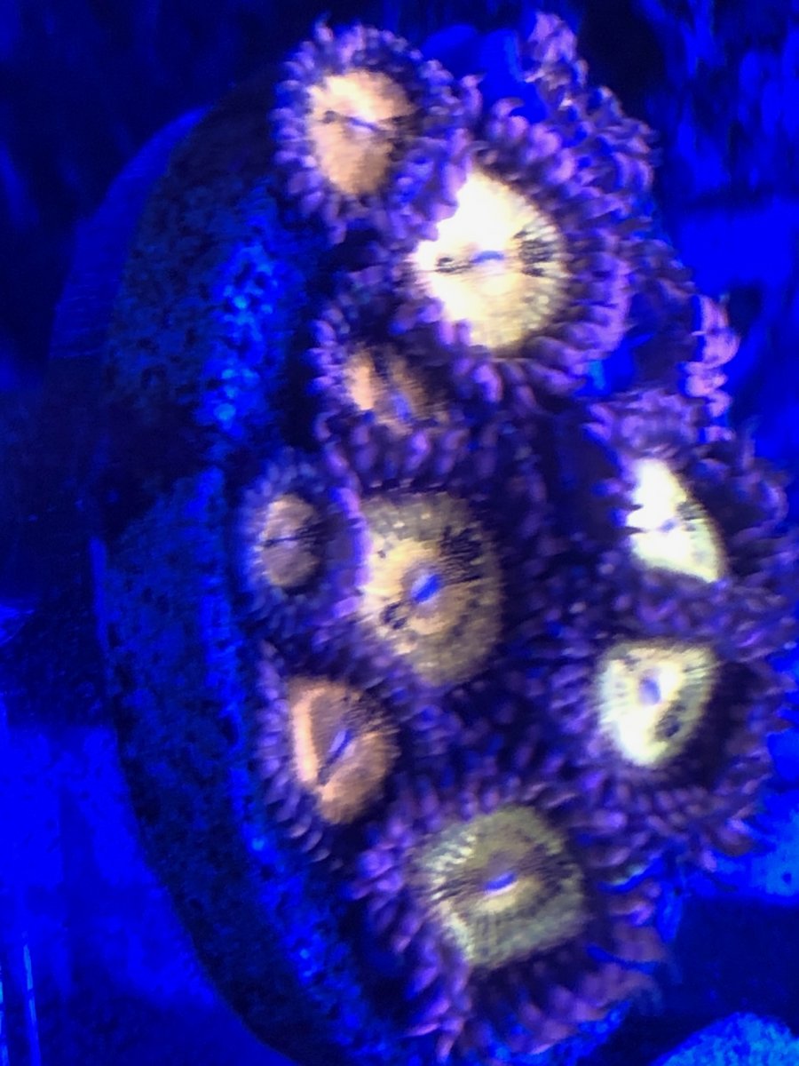 IMG_0350.JPEG