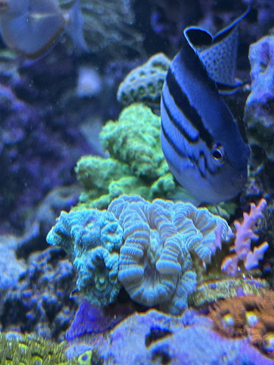 IMG_0355.jpeg